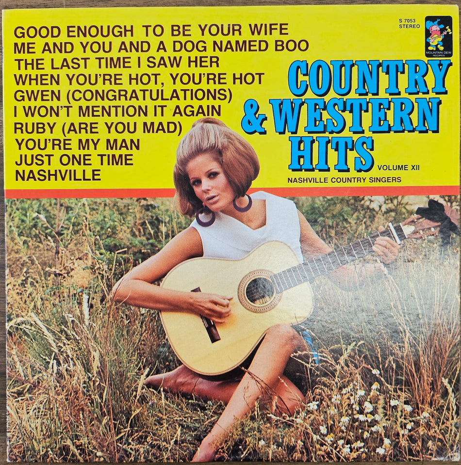 Country and Western Hits Volume XII (LP)
