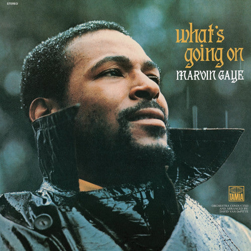 Marvin Gaye-What's Going on (LP)