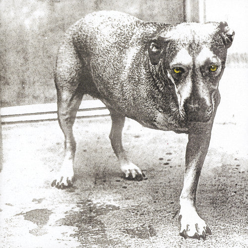 Alice in Chains-Alice in Chains (CD)